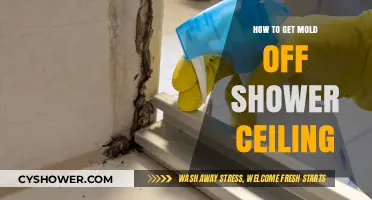 Effective Ways to Remove Mold from Your Shower Ceiling