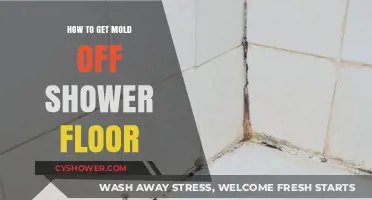 Effective Ways to Remove Mold from Your Shower Floor