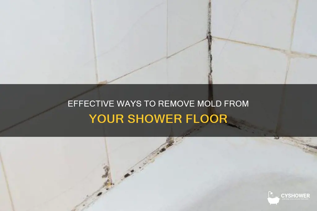 how to get mold off shower floor