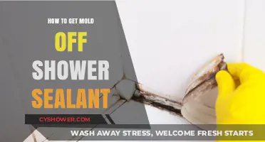 Effective Ways to Remove Mold from Shower Sealant Easily