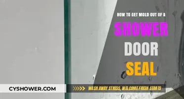 Effective Ways to Remove Mold from Shower Door Seals