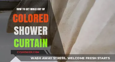 Effective Ways to Remove Mold from Colored Shower Curtains
