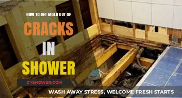 Effective Ways to Remove Mold from Shower Cracks Easily