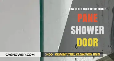 Effective Ways to Remove Mold from Double Pane Shower Doors