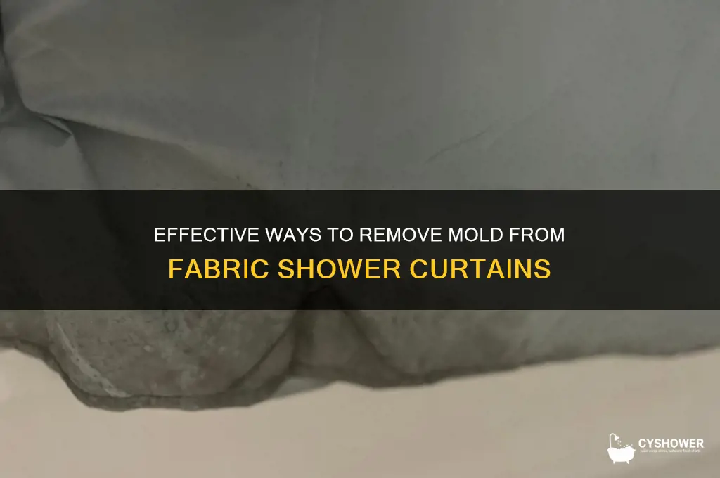 how to get mold out of fabric shower curtain