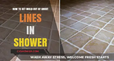 Effective Ways to Remove Mold from Shower Grout Lines