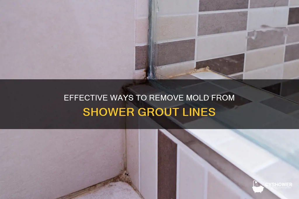 how to get mold out of grout lines in shower