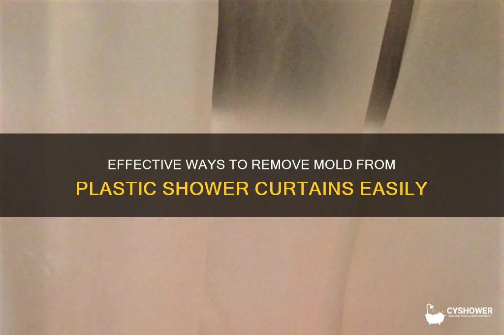 how to get mold out of plastic shower curtain