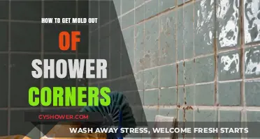 Effective Ways to Remove Mold from Shower Corners Easily