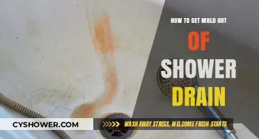 Effective Ways to Remove Mold from Your Shower Drain Easily