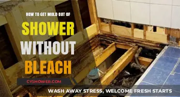 Effective Bleach-Free Methods to Remove Mold from Your Shower