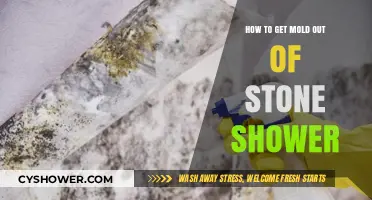 Effective Ways to Remove Mold from Stone Showers Permanently