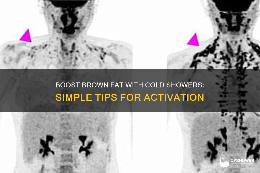 how to get more brown fat cold shower
