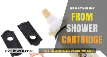 Boost Your Shower Flow: Easy Cartridge Maintenance Tips