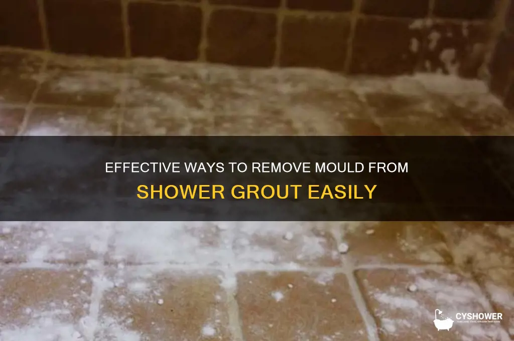 how to get mould off grout in shower