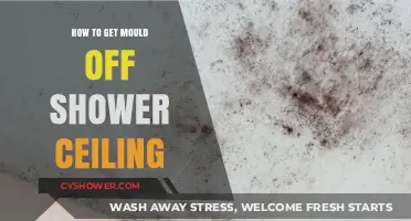 Effective Ways to Remove Mould from Your Shower Ceiling