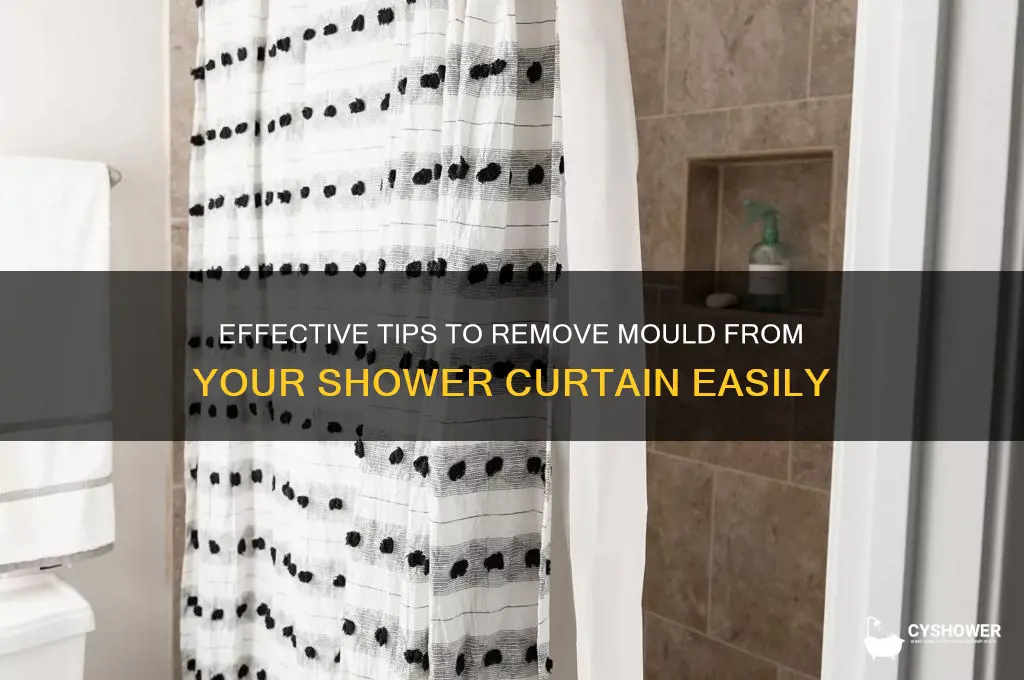 how to get mould off shower curtain