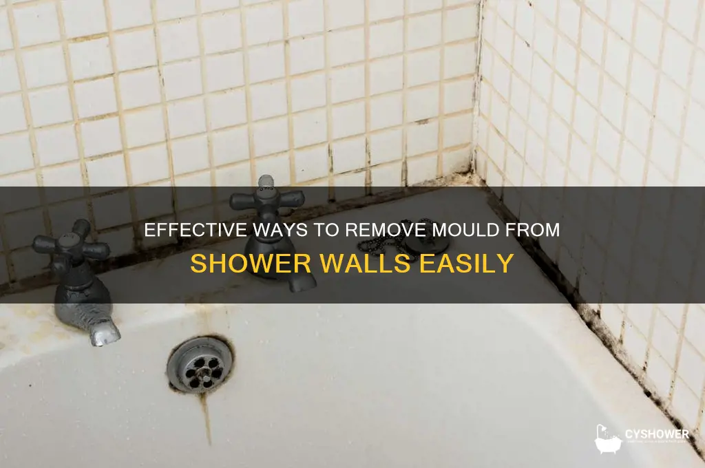 how to get mould off shower wall