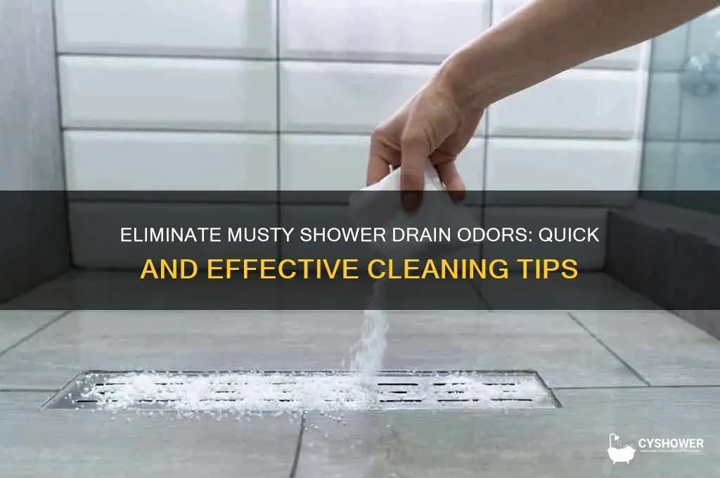 how to get musty smell out of shower drain