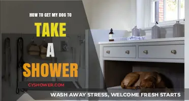 Easy Tips for Stress-Free Dog Showers: A Step-by-Step Guide