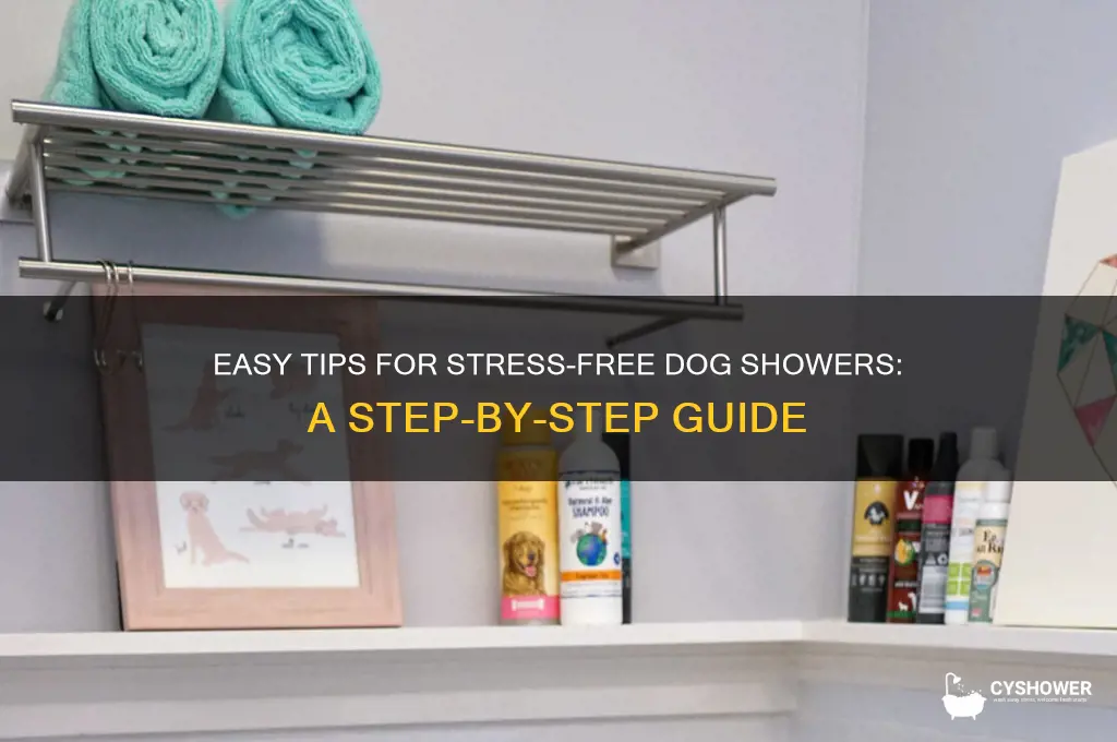 how to get my dog to take a shower
