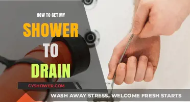 Quick Fixes to Unclog Your Shower Drain Effortlessly