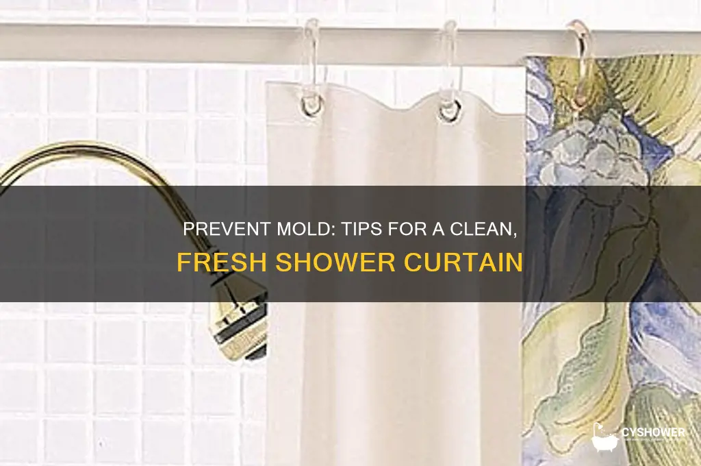 how to get nol mold shower curtain