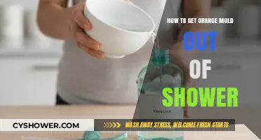 Effective Ways to Remove Orange Mold from Your Shower Quickly