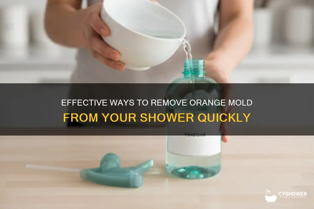 how to get orange mold out of shower