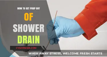Effective DIY Methods to Clear Poop from Your Shower Drain