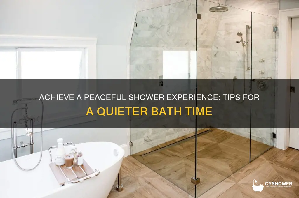 how to get quiet shower