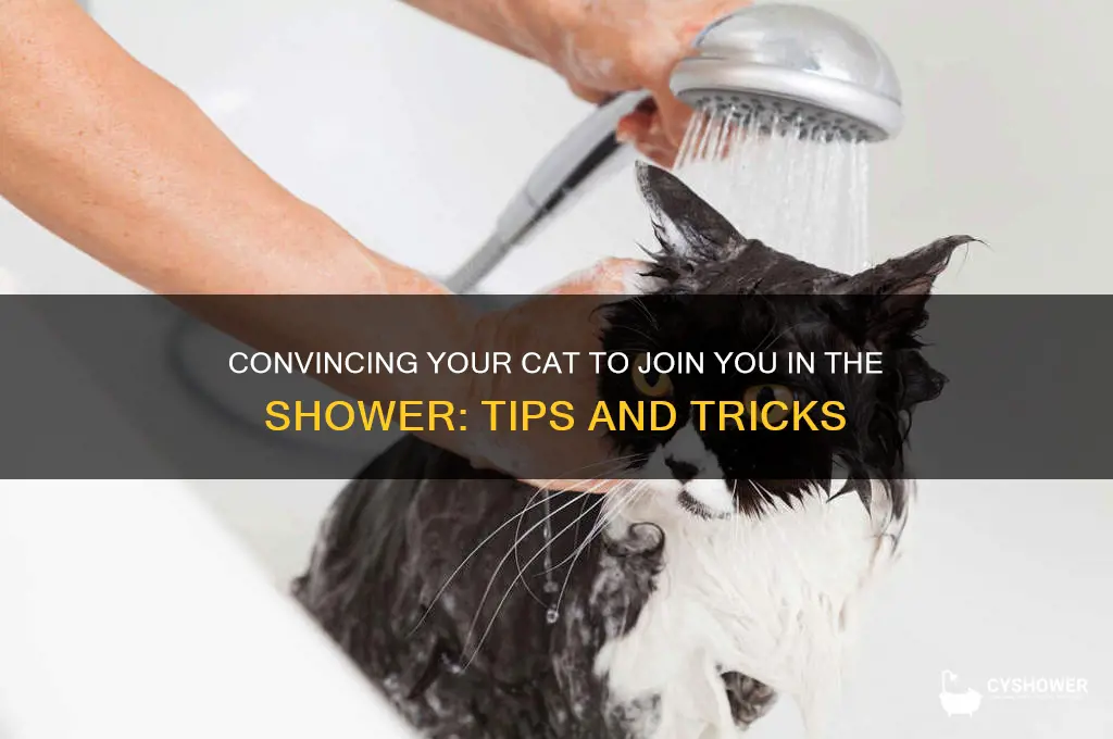 how to get quiet to take a shower with you