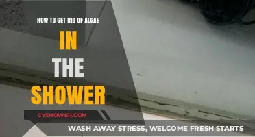 Effective Ways to Eliminate Shower Algae and Keep It Clean
