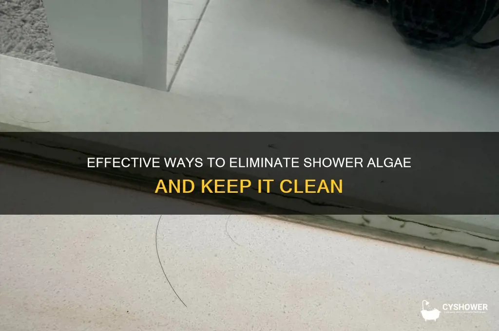 how to get rid of algae in the shower