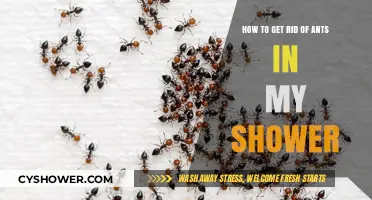 Effective Ways to Eliminate Ants from Your Shower Area