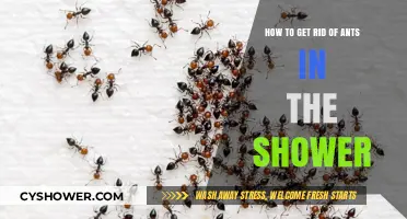 Effective Ways to Eliminate Ants from Your Shower Area