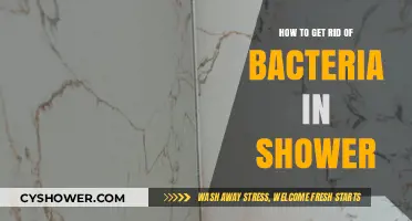 Effective Ways to Eliminate Shower Bacteria and Keep It Clean