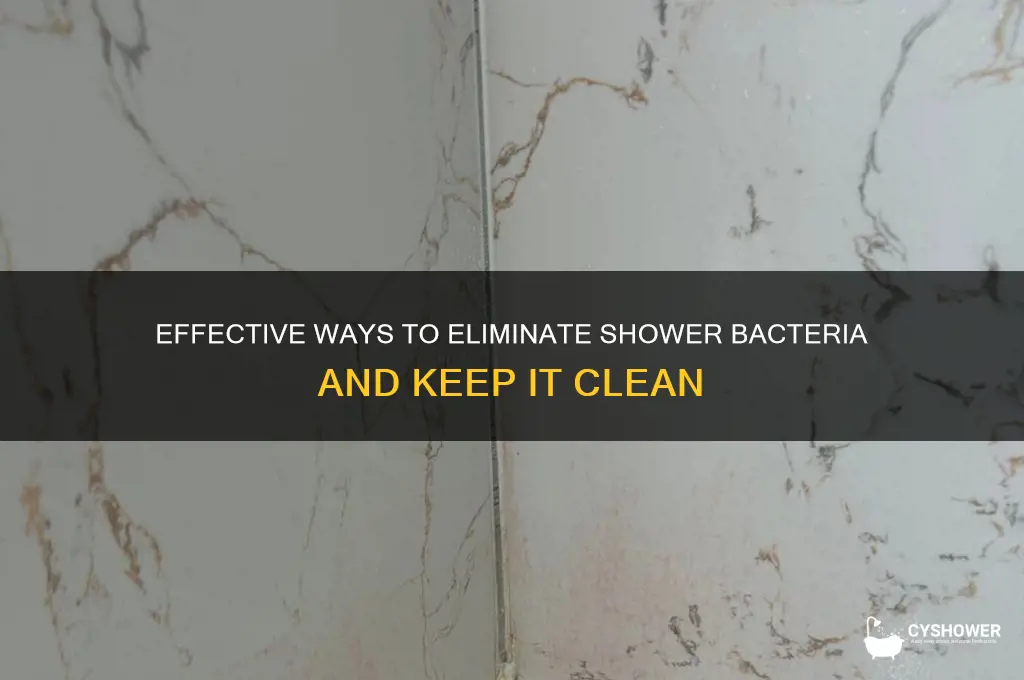 how to get rid of bacteria in shower