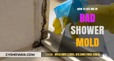 Effective Ways to Eliminate Stubborn Shower Mold for Good