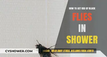 Effective Ways to Eliminate Black Flies from Your Shower Space