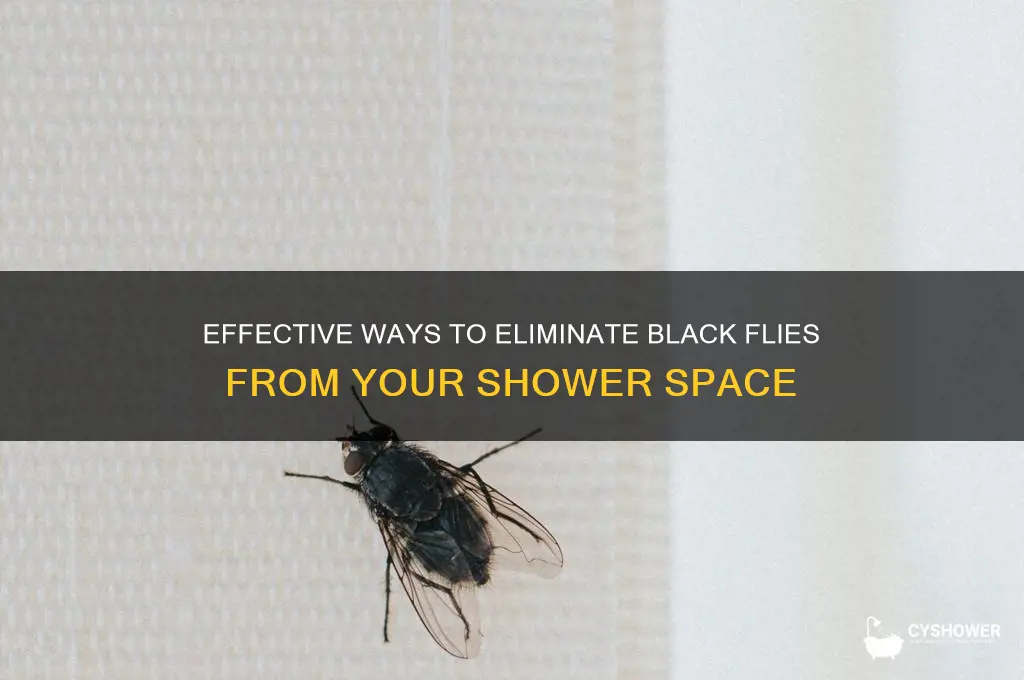 how to get rid of black flies in shower