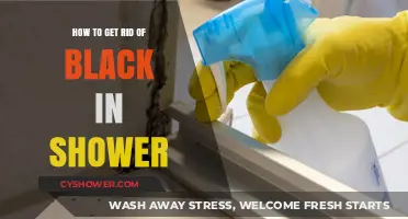Effective Ways to Remove Black Mold and Grime from Your Shower