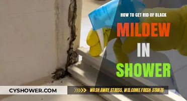 Effective Ways to Eliminate Black Mildew in Your Shower