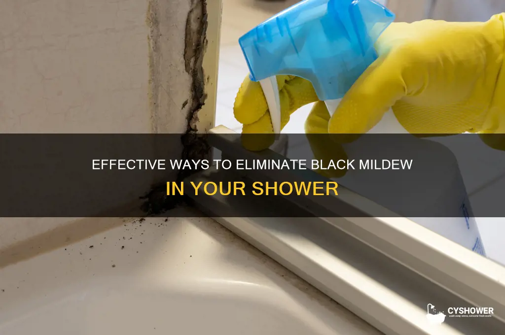 how to get rid of black mildew in shower