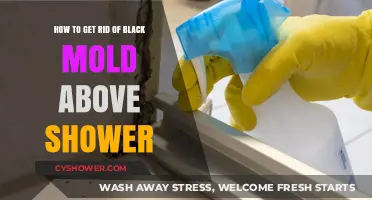 Effective Ways to Eliminate Black Mold Above Your Shower Safely
