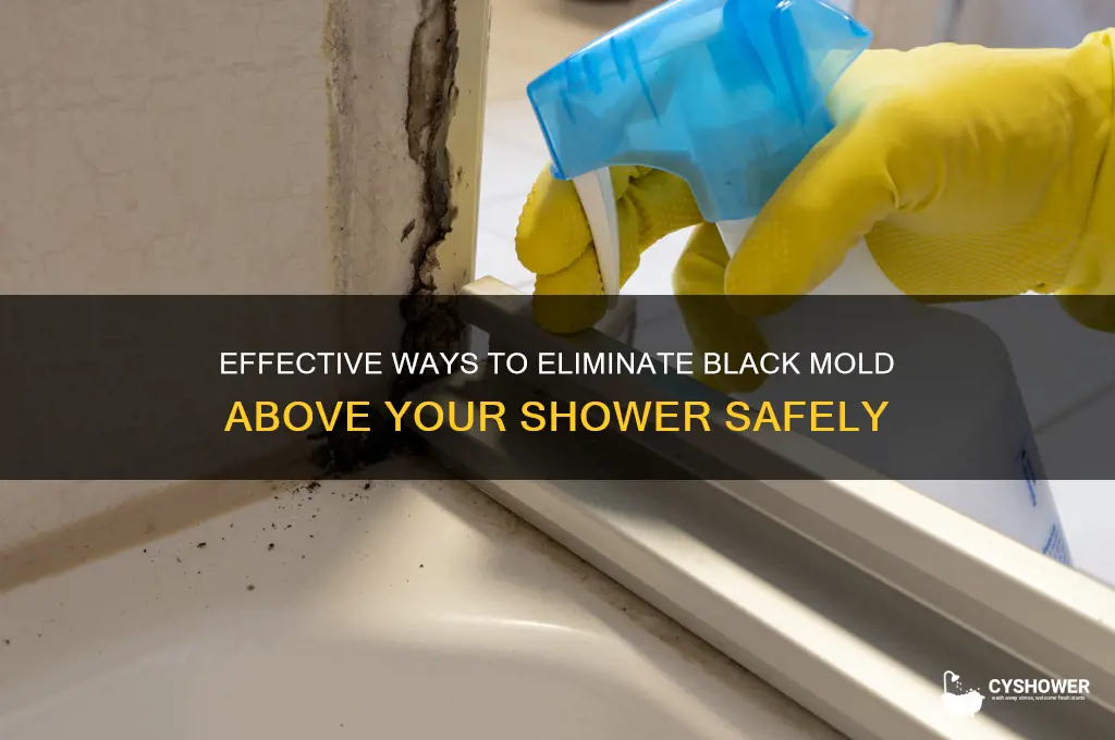 how to get rid of black mold above shower