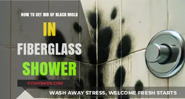 Effective Ways to Eliminate Black Mold from Fiberglass Showers