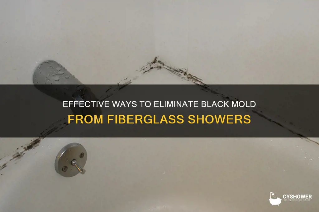 how to get rid of black mold in fiberglass shower