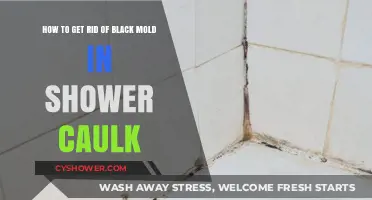 Effective Ways to Remove Black Mold from Shower Caulk