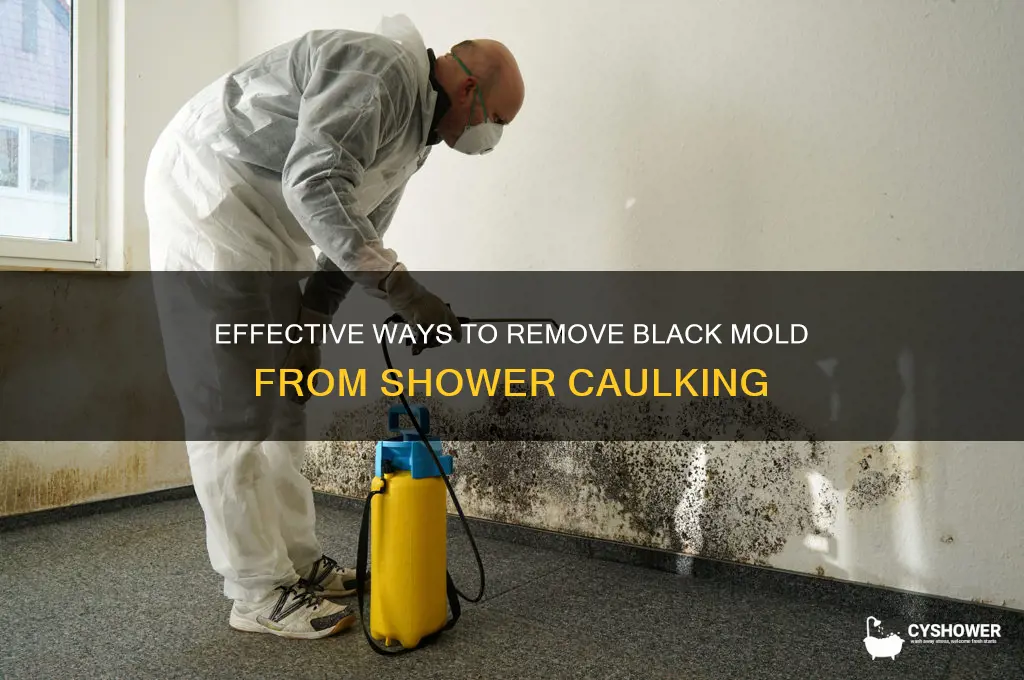 how to get rid of black mold in shower caulking